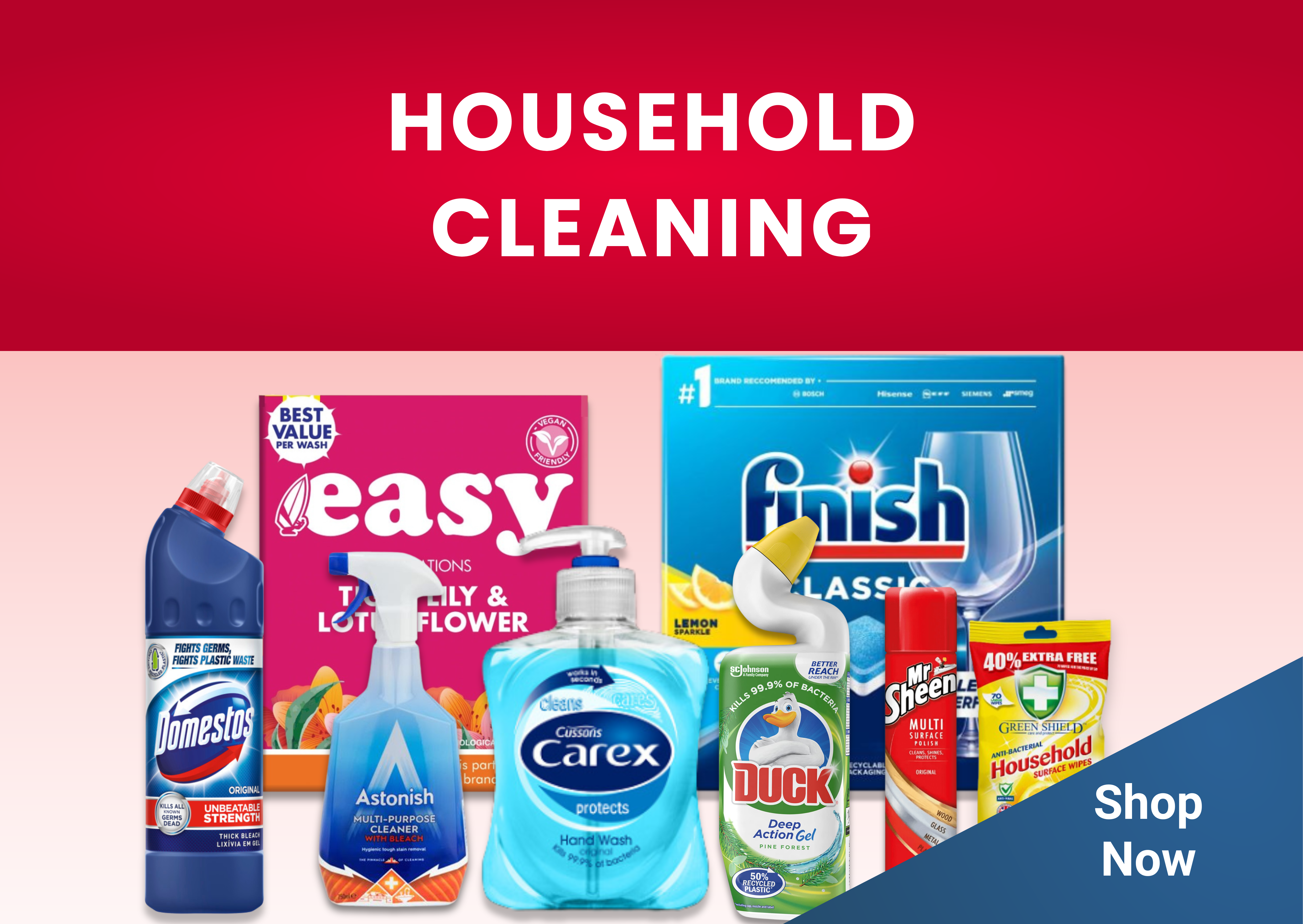 HOUSEHOLD CLEANING