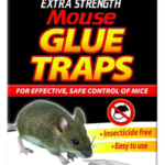 Mouse Glue Traps