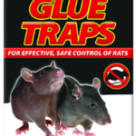 Rat Glue Traps