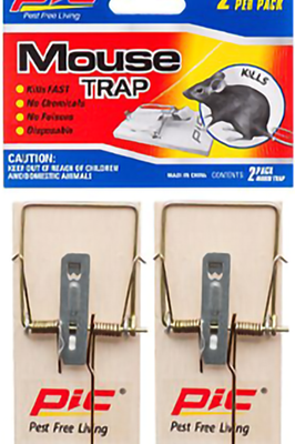 Wooden Mouse Trap 2pk