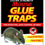 Rat glue traps full box