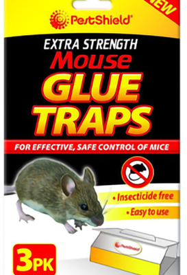 Rat glue traps full box