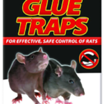 Mouse glue traps full box