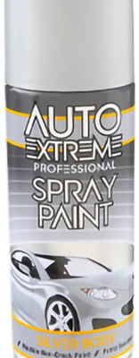 Auto extreme spray paint silver body