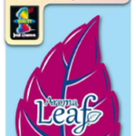 Leaf hanging car air freshener