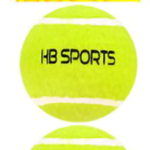 Tennis balls 2pk Bouncing